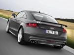 Audi TTS Coupe Competition 2013 года